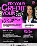 Credit repair bot